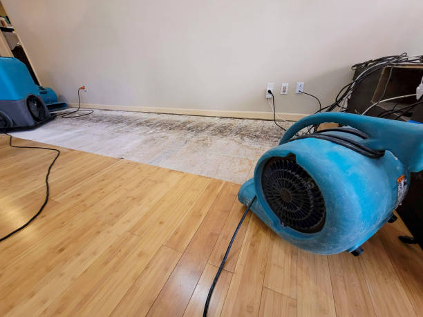 Professional Flood Damage Cleanup technician working in Lennon, MI